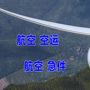 宜宾五粮液机场快运快递-选东方航空和上海航空