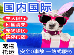 宜宾五粮液机场快运国际宠物托运 【国